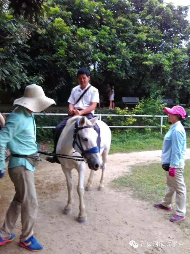 ���ҷ���׌��������á�2015��B�T�м�����(ji��)�����