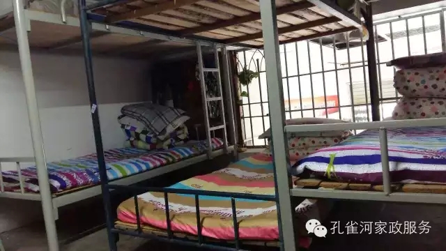 ��ȸ�Ӽ�����ķ������ů��ů��������