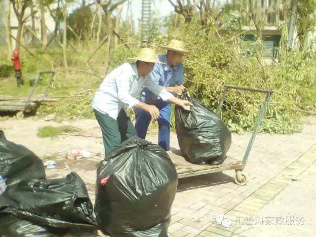 ��������y���������