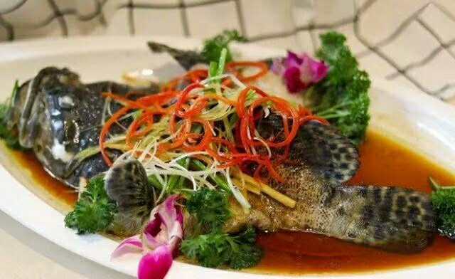 年嫂 春節(jié)保姆服務(wù)